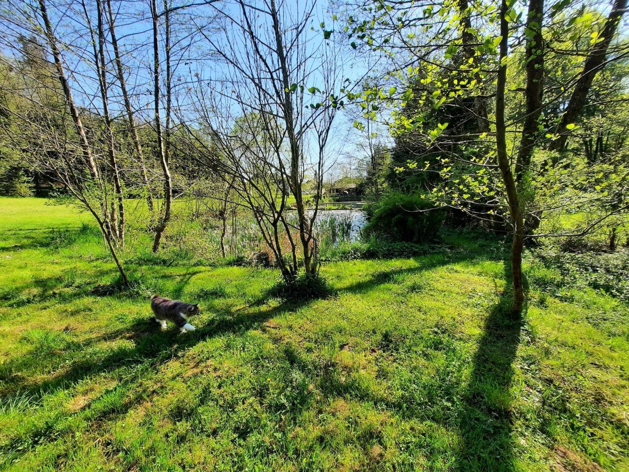 Apartment Alpipond Kamnik Luaran gambar